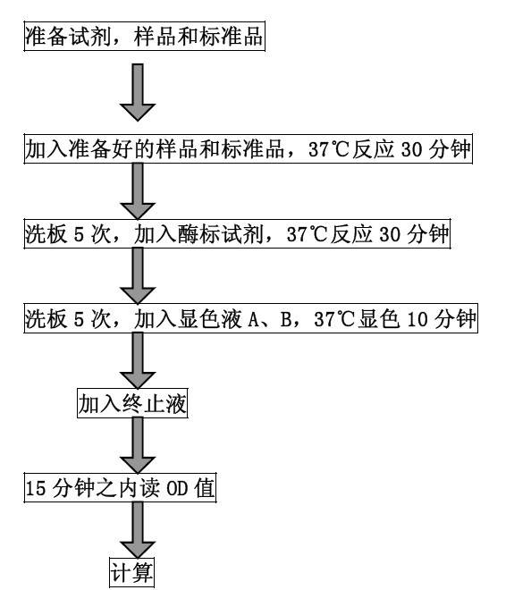 操作.jpg