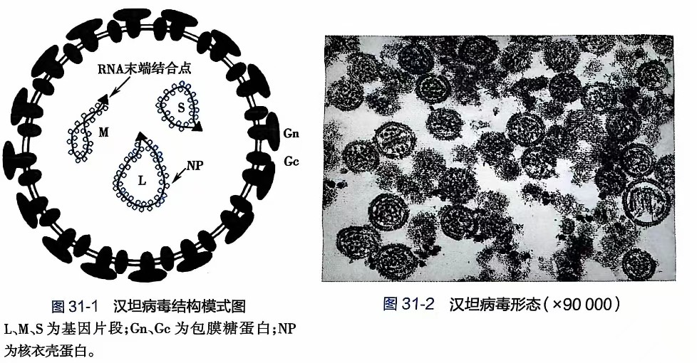 微信图片_20241210100611.jpg