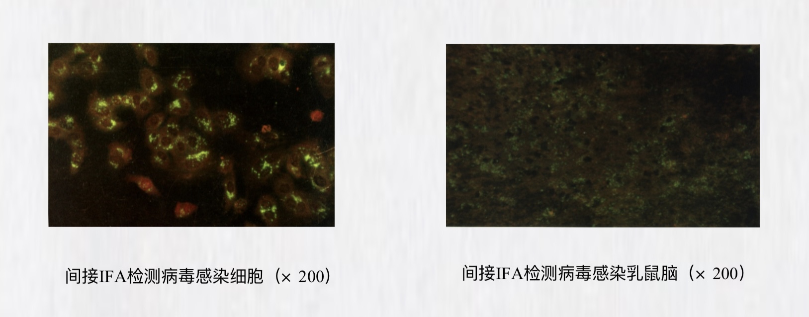 微信图片_20241210101959.jpg